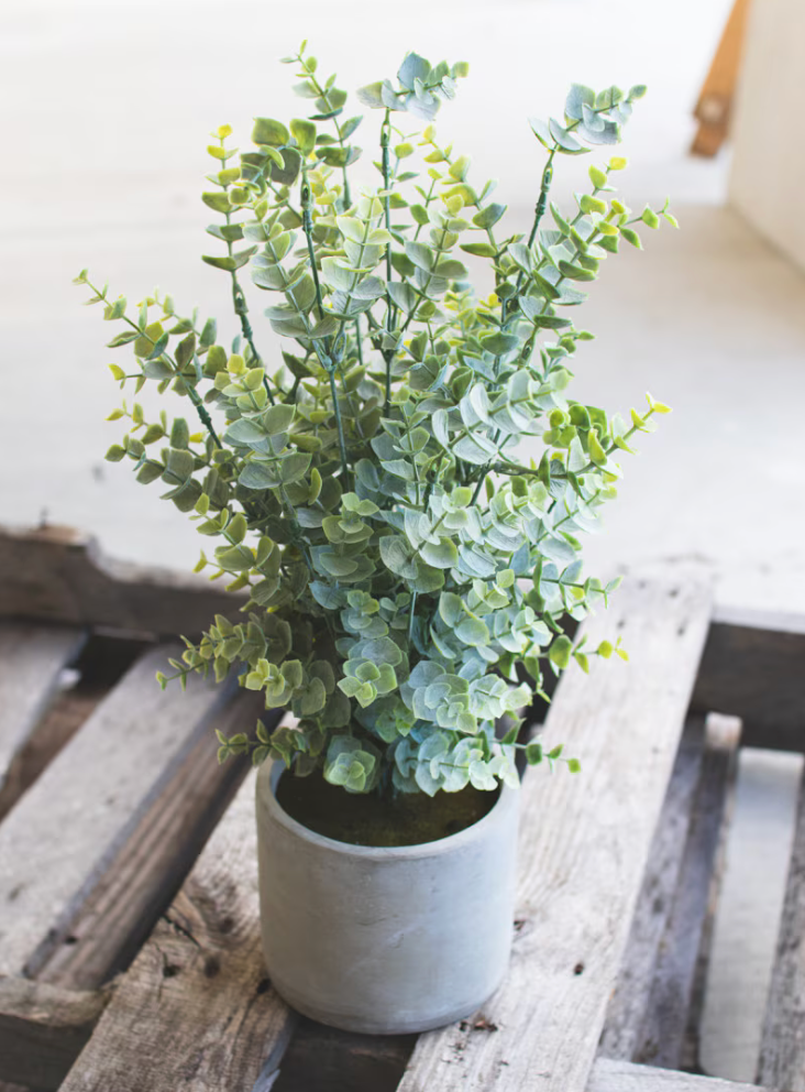 Artificial Boxwood In a Cement Pot