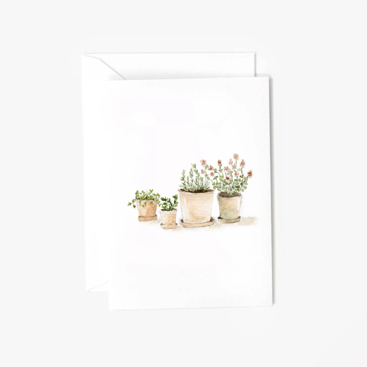 Emily Lex Herbs Mini Enclosure Notecard featuring a botanical herb illustration on premium paper.