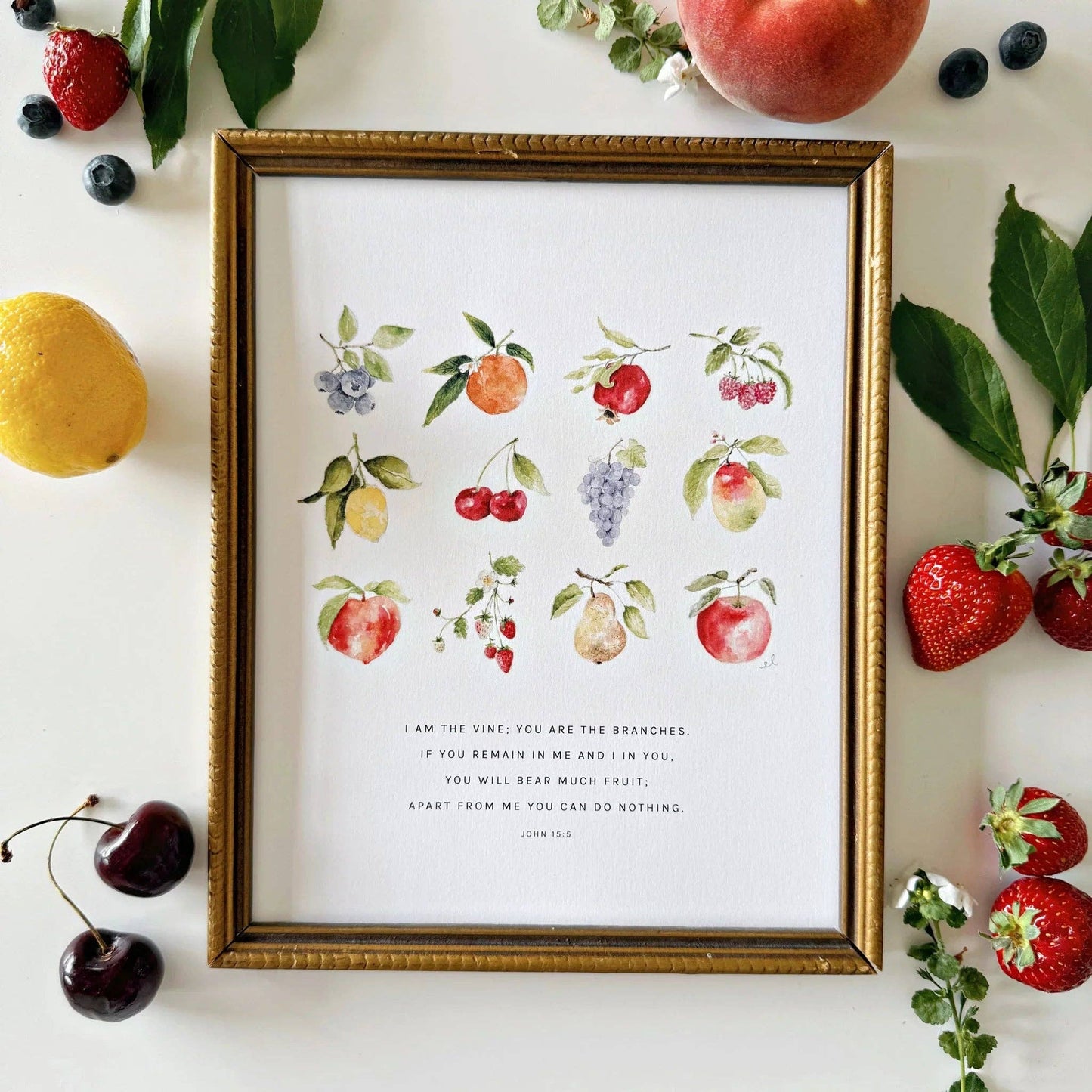 Watercolor fruit illustrations surrounding the John 15:5 Bible verse.