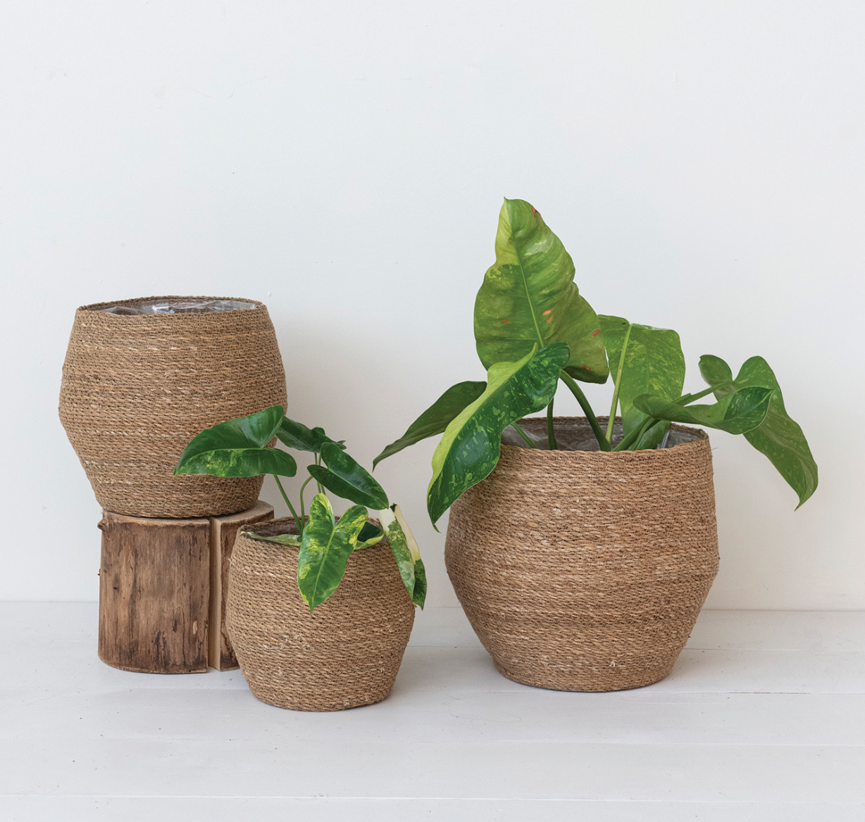 Woven Seagrass Basket - Medium