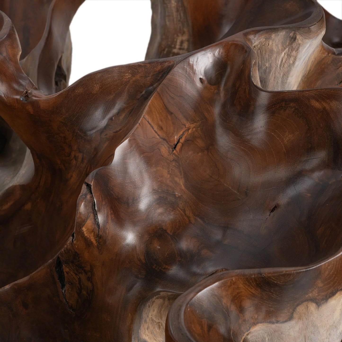 Close-up of the Hailey coffee table showcasing the intricate reclaimed teak root grain, natural textures, and tempered glass surface.