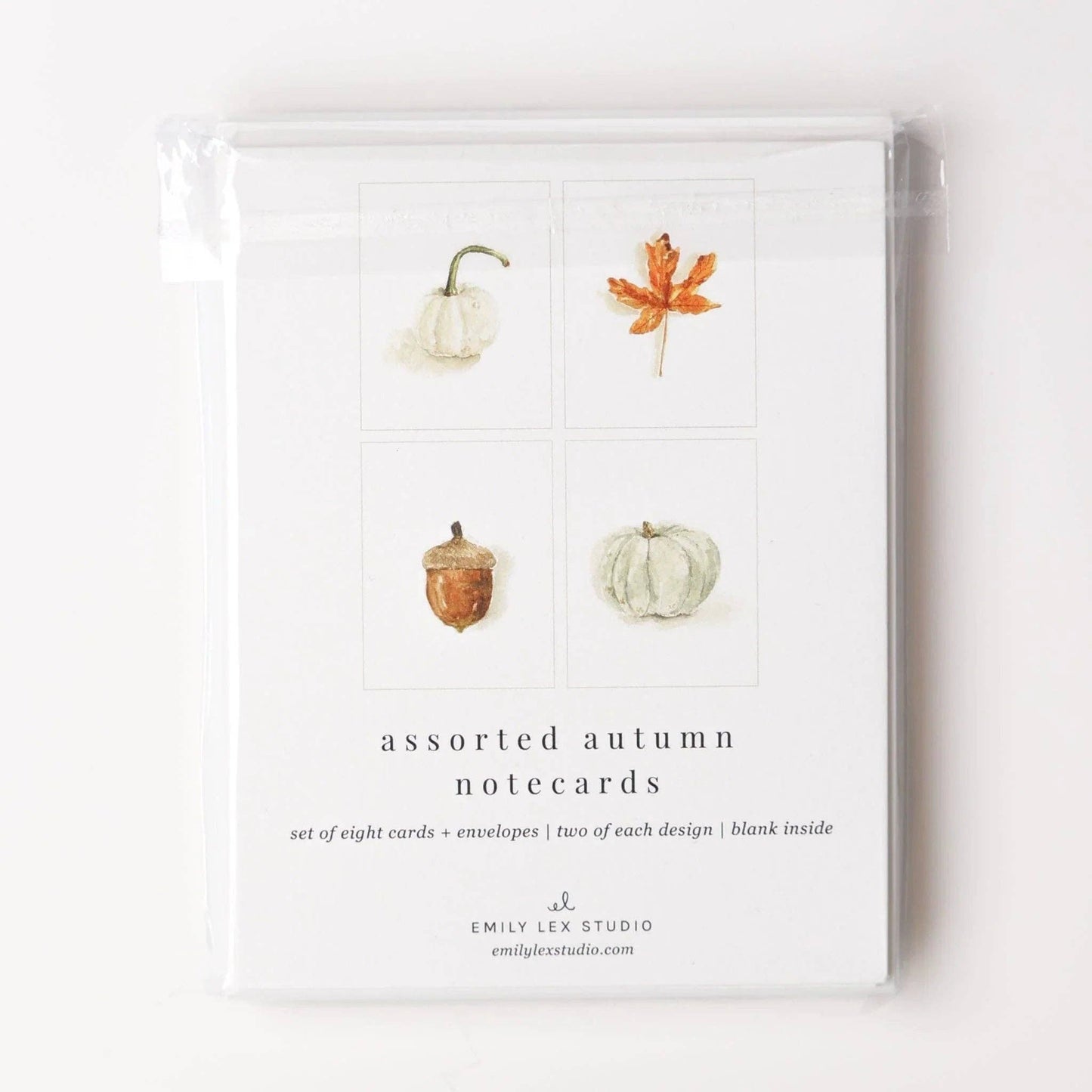 Autumn Watercolor Notecard Set by Emily Lex featuring watercolor illustrations of a maple leaf, acorn, white pumpkin, and green pumpkin with coordinating envelopes.