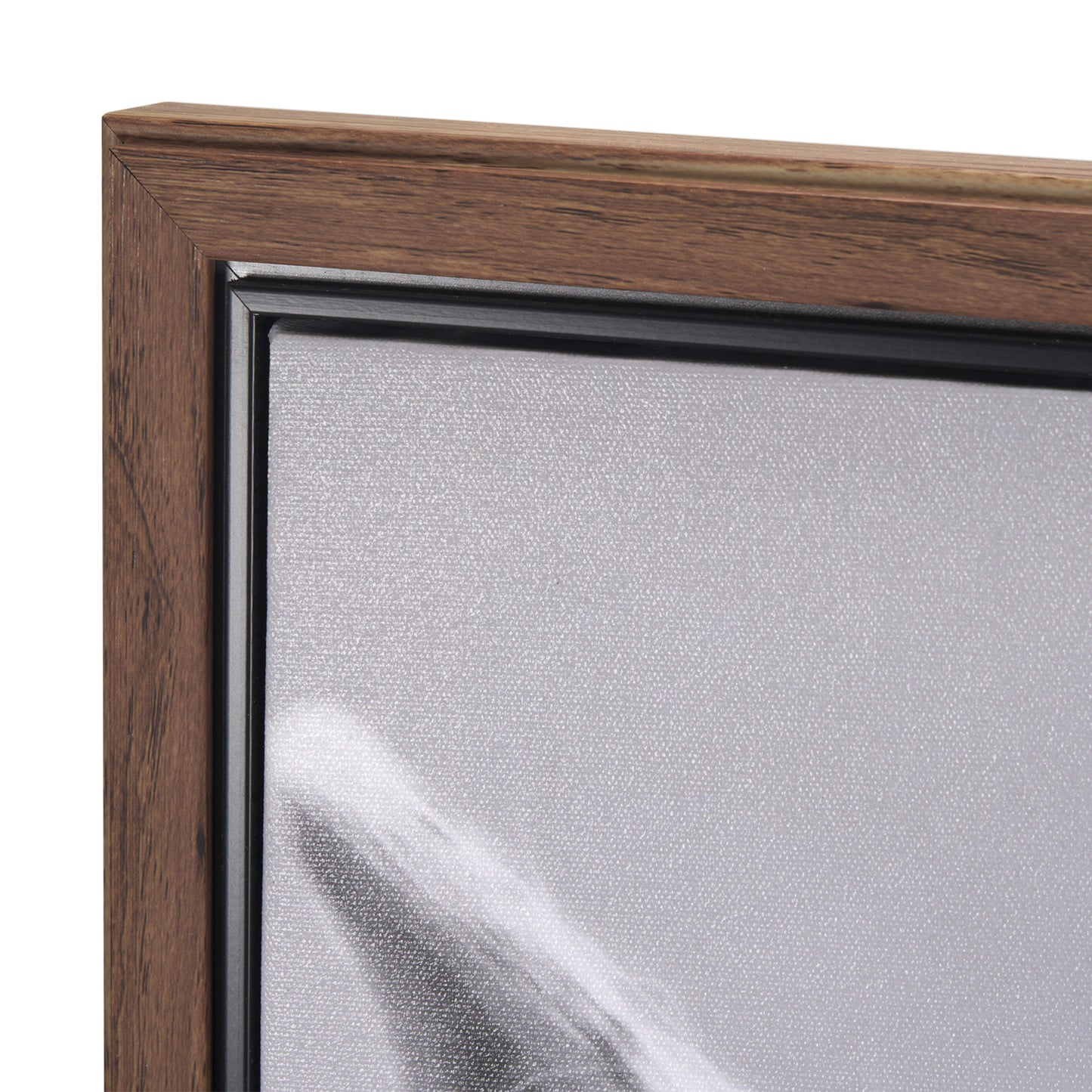 The Foal Framed Canvas Art