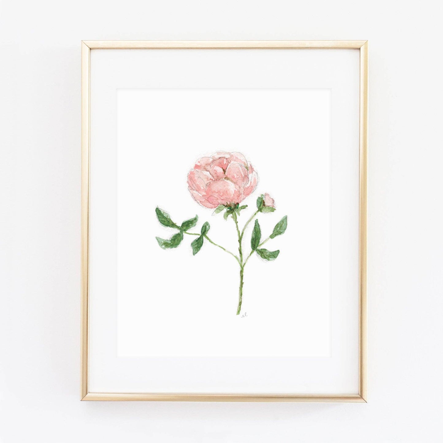 Garden rose art print