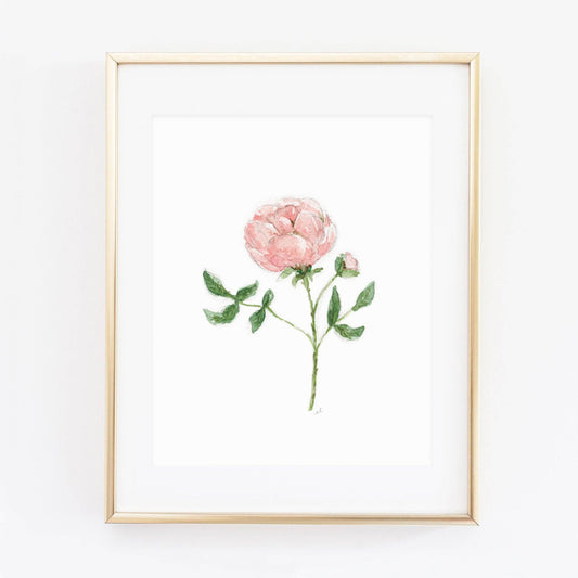 Garden rose art print