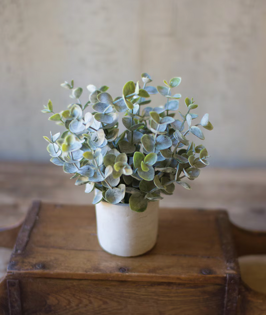Artificial Boxwood Sage Plant In Concrete Pot