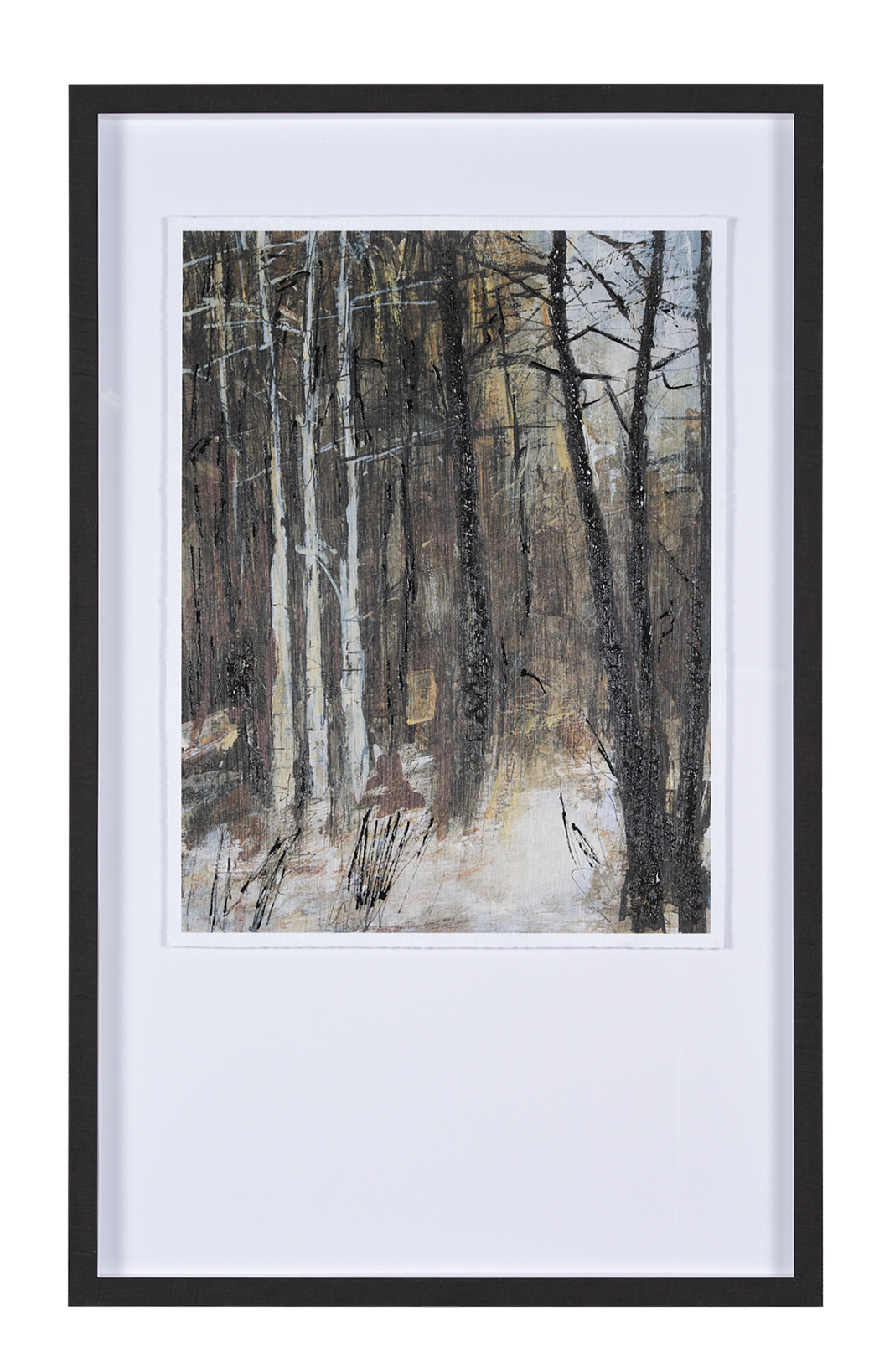 Forest View IV Framed Art