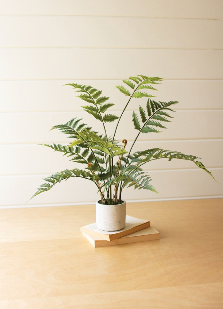 Artificial fern in a textured cement pot for maintenance-free greenery.