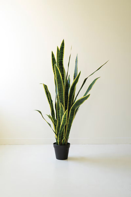 Tall artificial snake plant in a black nursery pot.