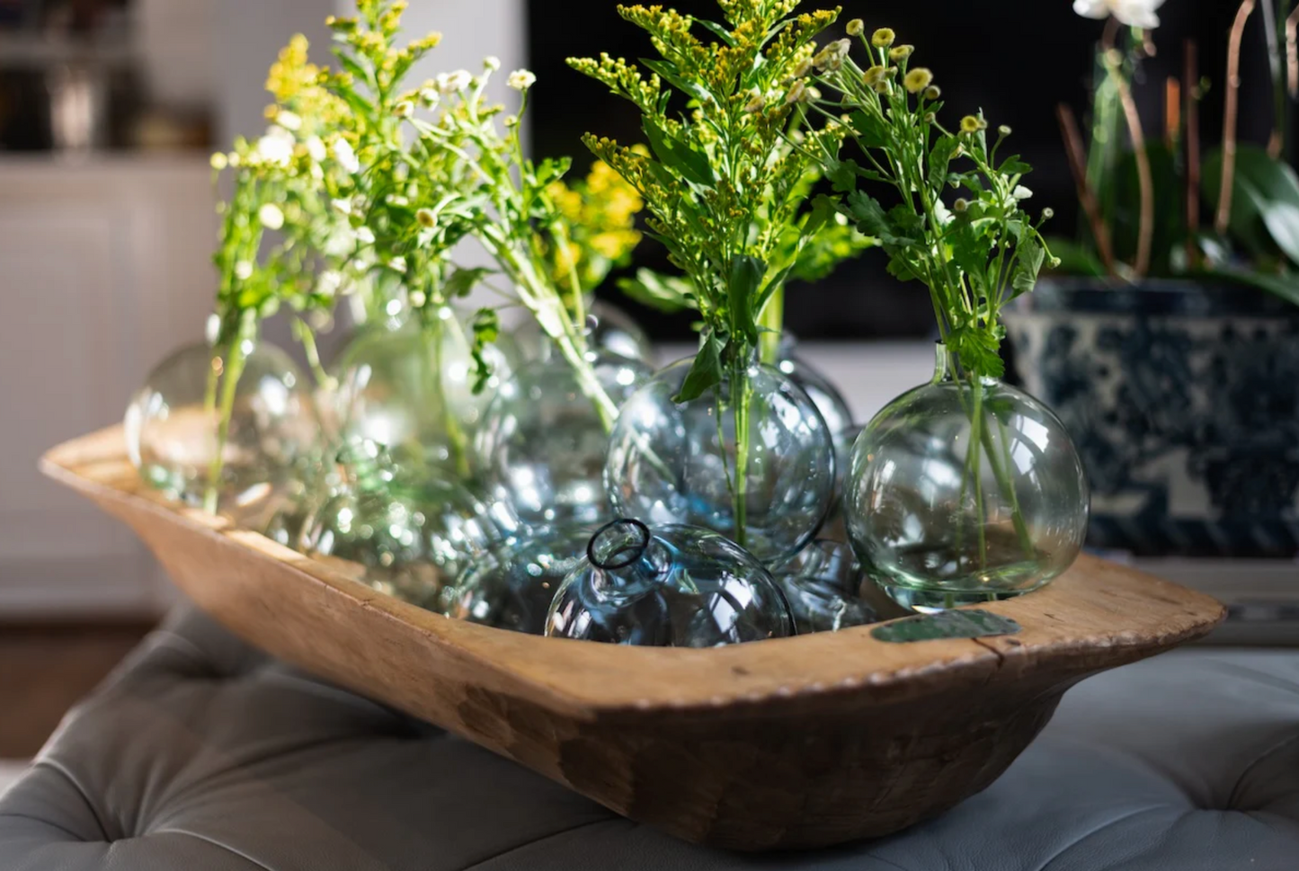 Decorative arrangement of glass vases with plants on a wooden tray.