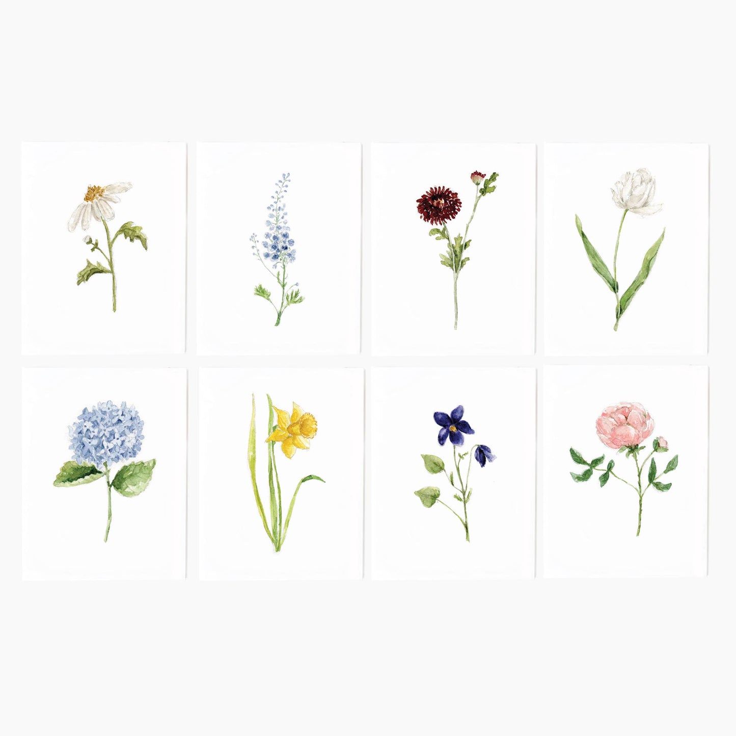 Assorted Garden Flowers Watercolor Notecard Set by Emily Lex featuring eight original botanical watercolor illustrations with coordinating envelopes.