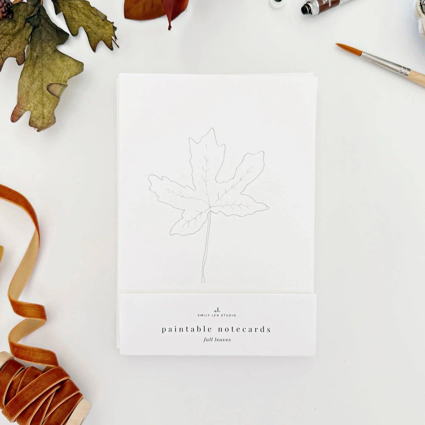 Fall Leaves Paintable Watercolor Notecard Set by Emily Lex featuring eight paint-your-own cards with maple, oak, and aspen leaf illustrations.