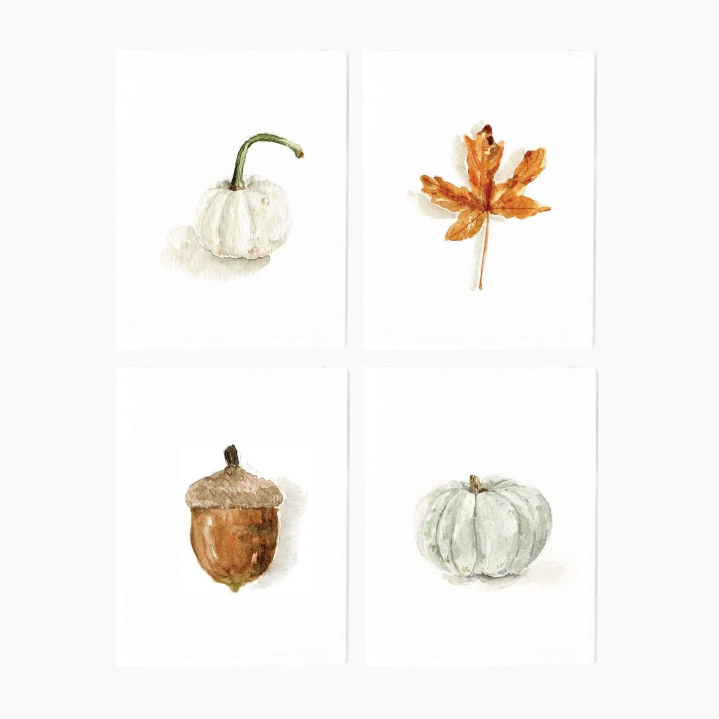 Autumn Watercolor Notecard Set by Emily Lex featuring watercolor illustrations of a maple leaf, acorn, white pumpkin, and green pumpkin with coordinating envelopes.