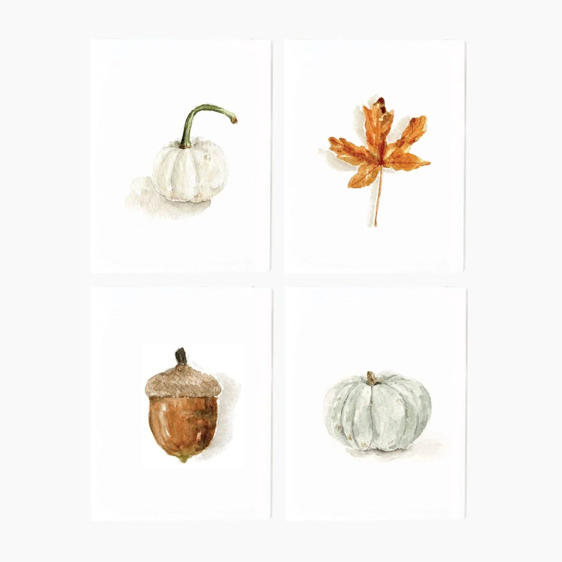 Autumn Watercolor Notecard Set by Emily Lex featuring watercolor illustrations of a maple leaf, acorn, white pumpkin, and green pumpkin with coordinating envelopes.