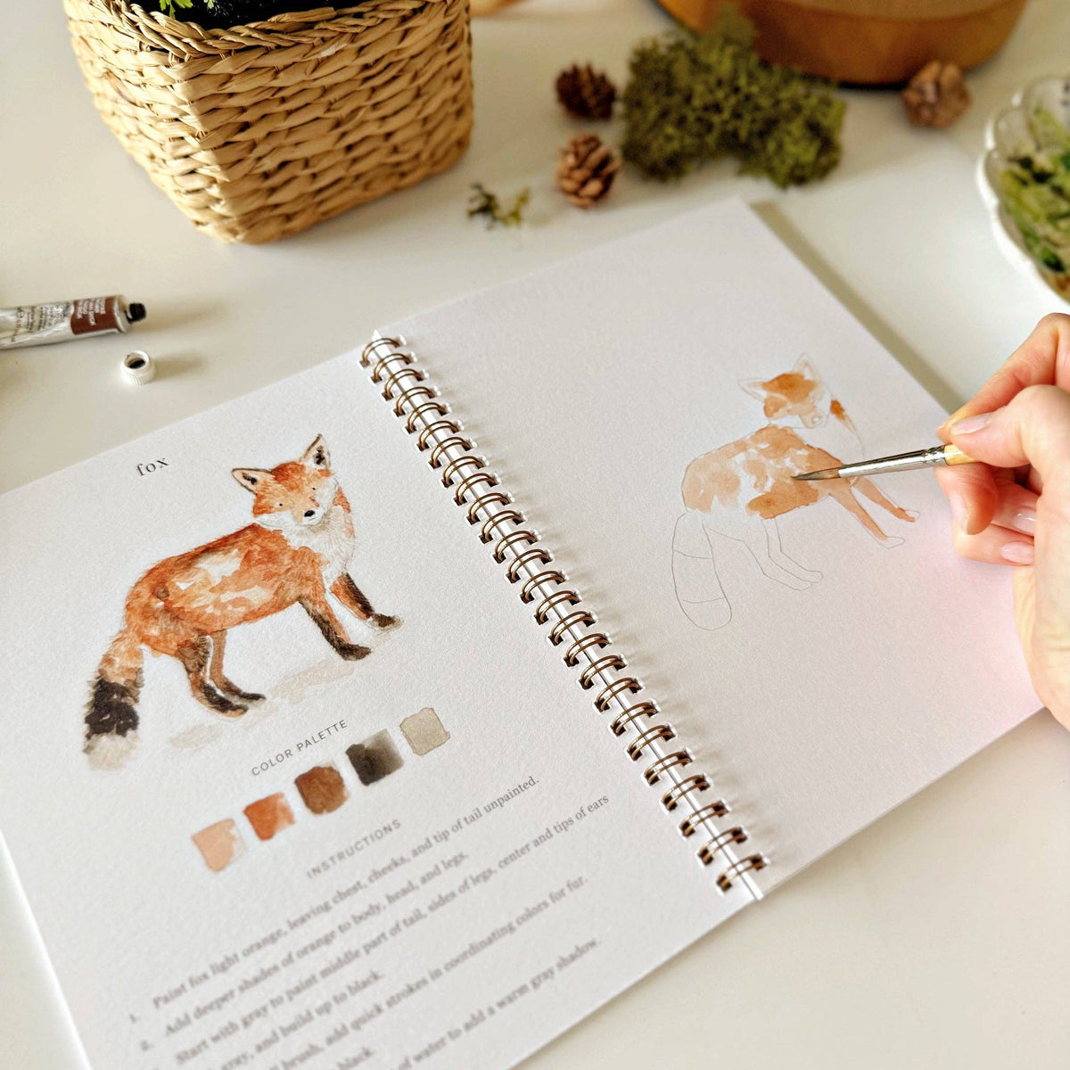 Open watercolor workbook displaying woodland illustrations ready to paint with step-by-step guidance.
