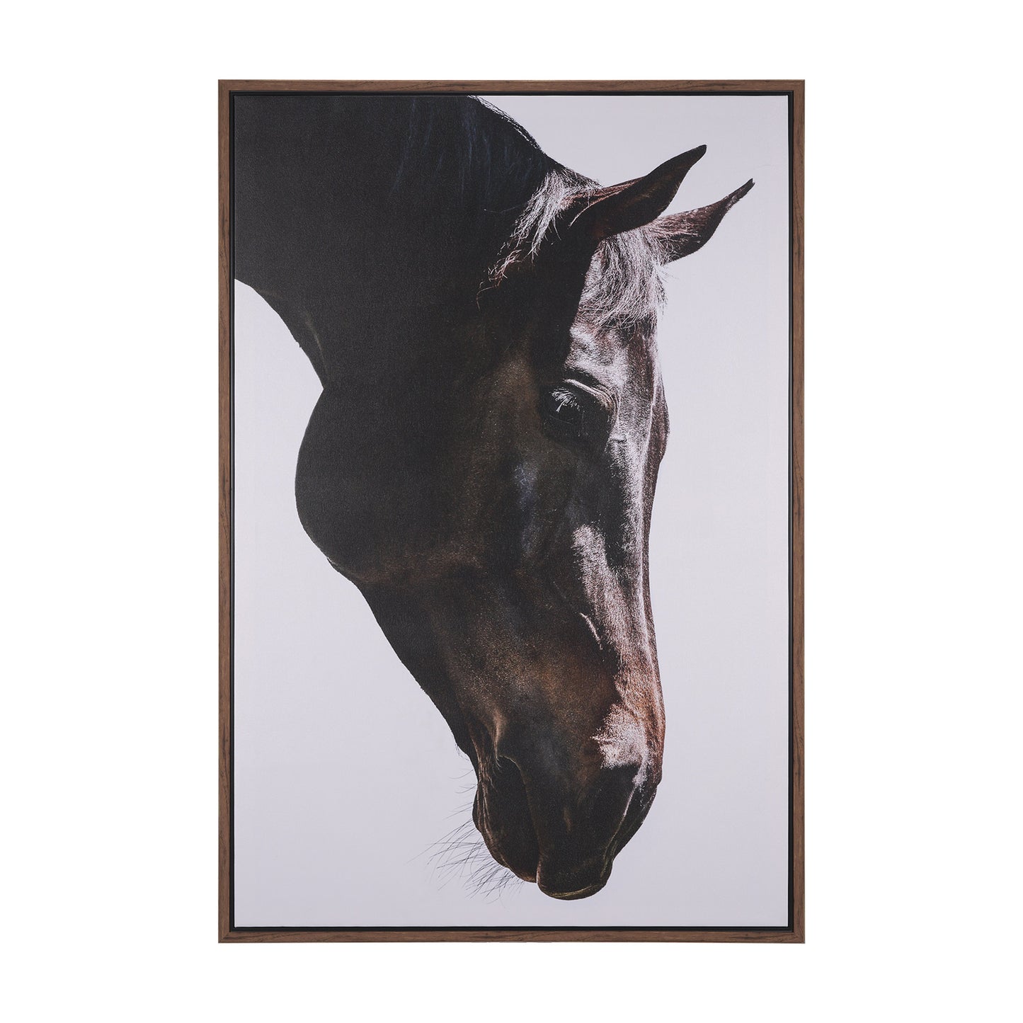 Bingo Framed Canvas Art