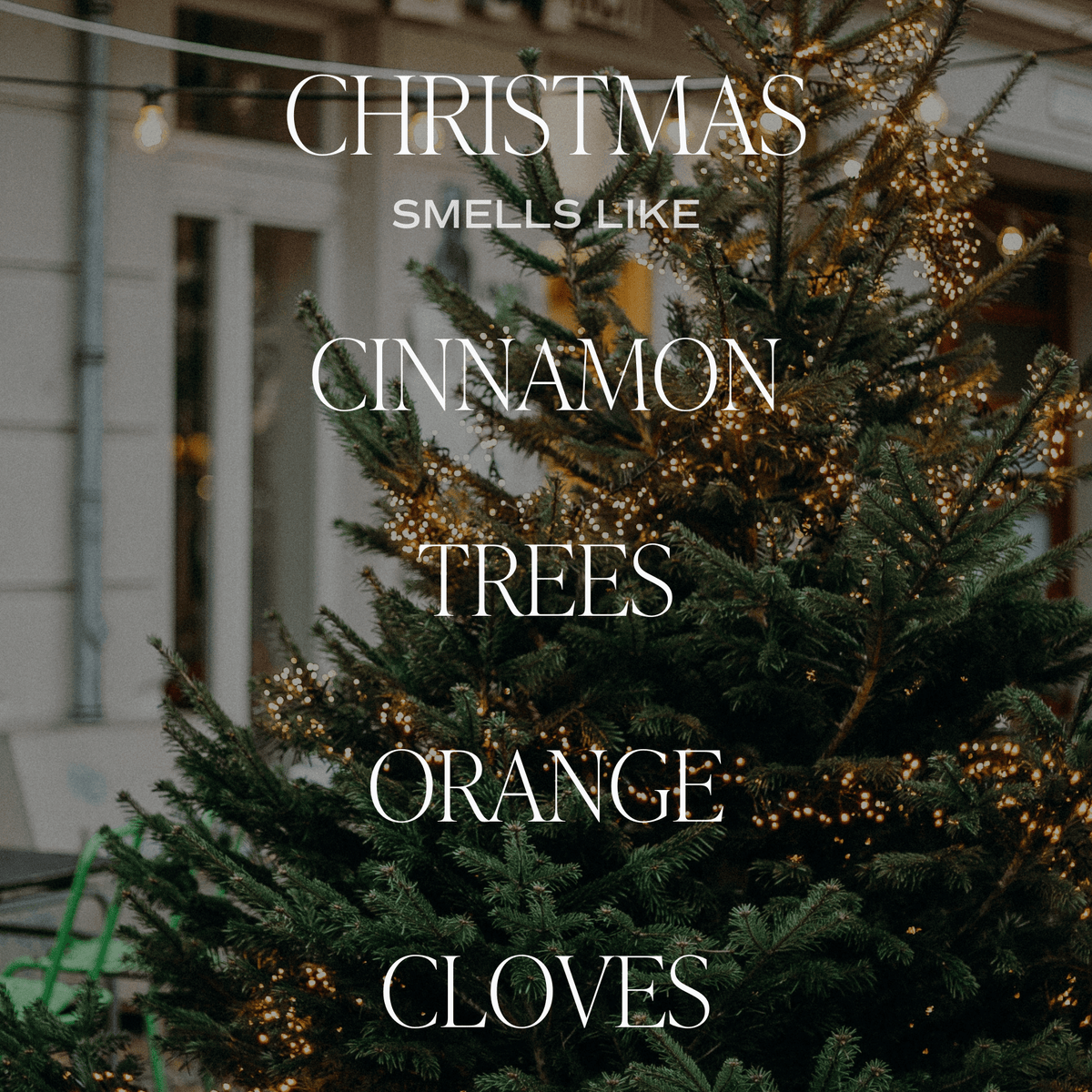 Christmas Soy Blend Candle Gift Set