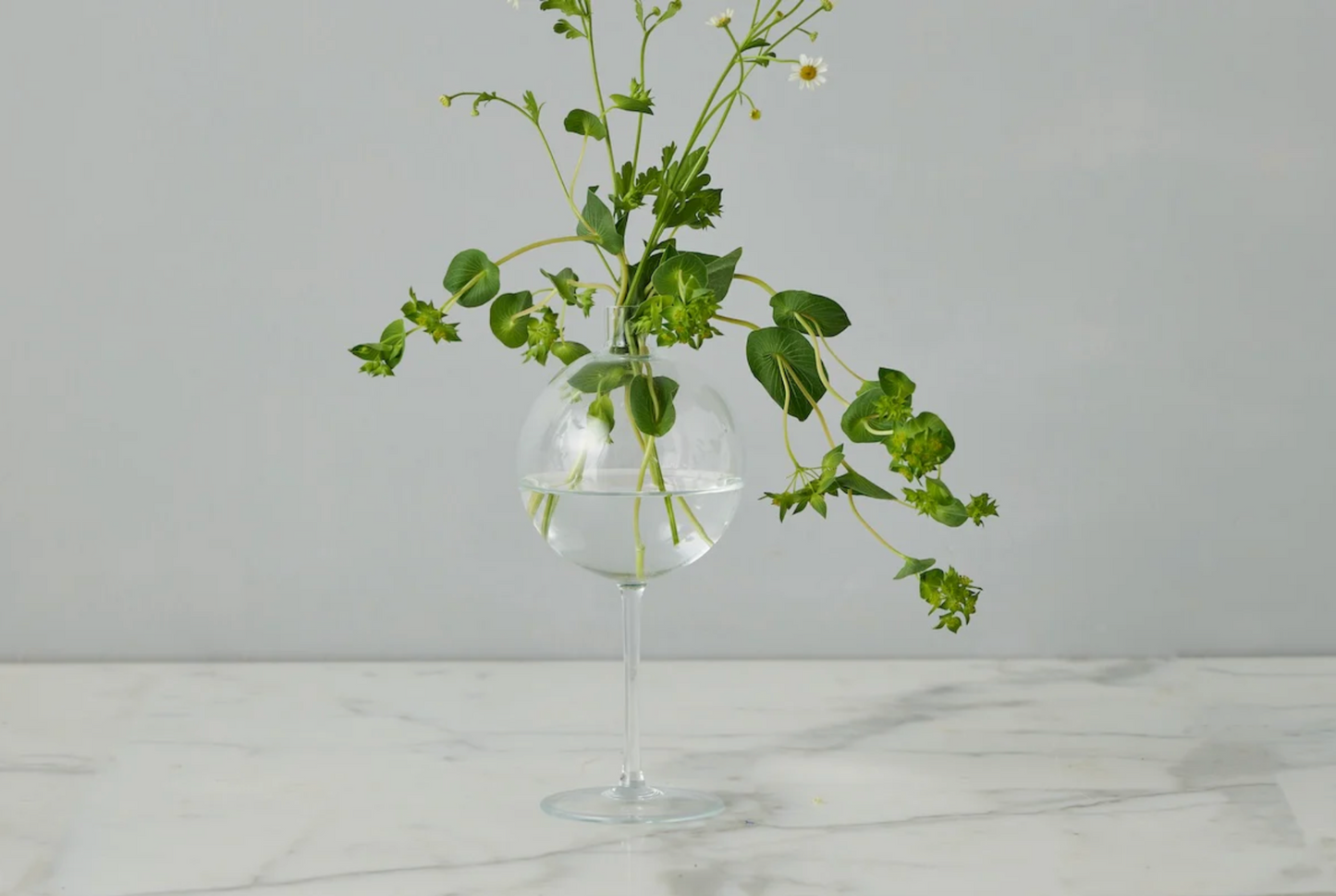 Clear glass vase with greenery on a marble surface and light gray background