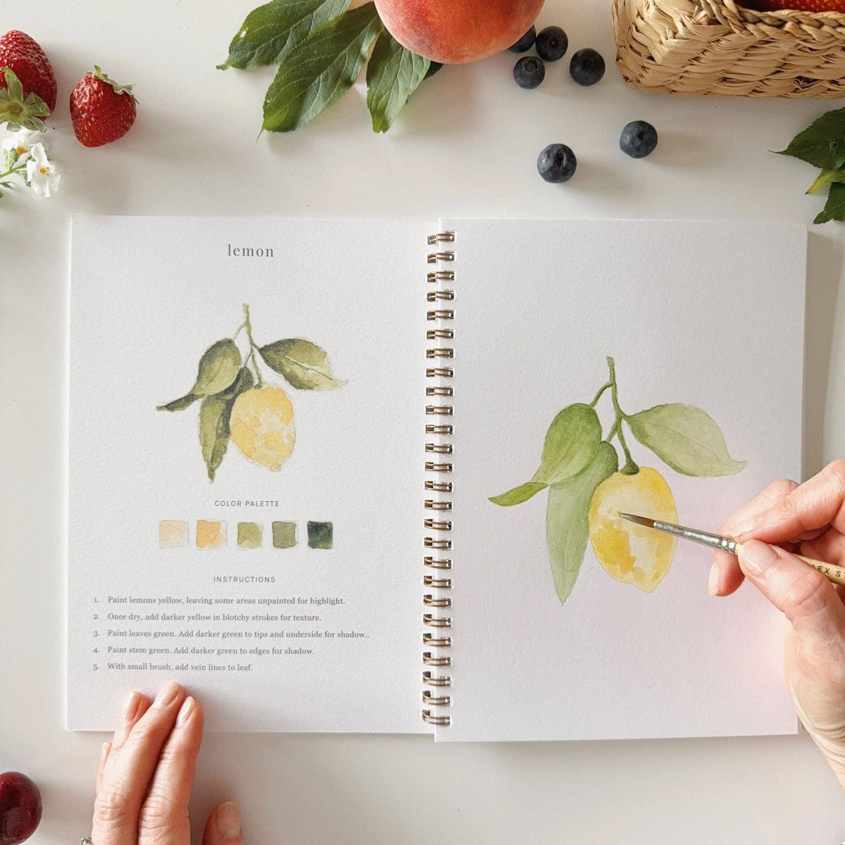Fruit watercolor workbook styled with watercolor paints, brushes, and fresh citrus on a bright creative workspace.
