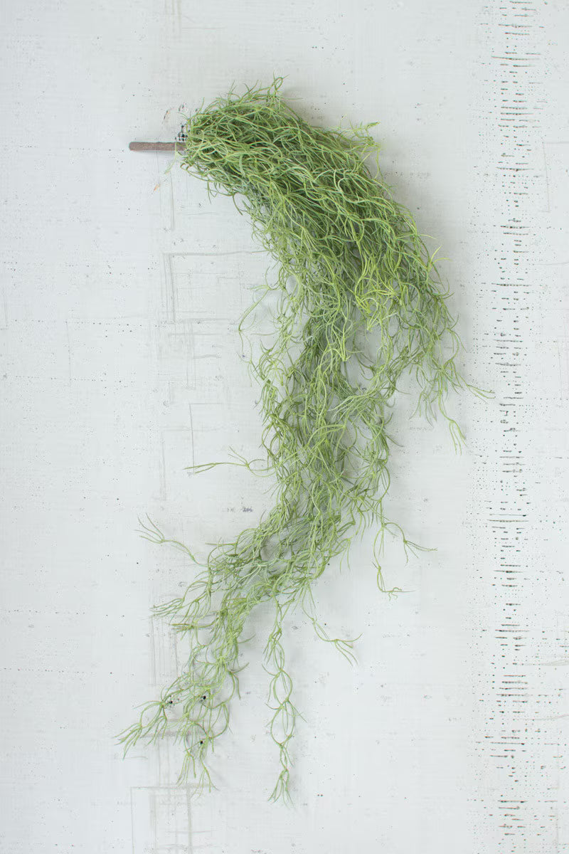 Decorative green moss filler for planters and botanical arrangements.