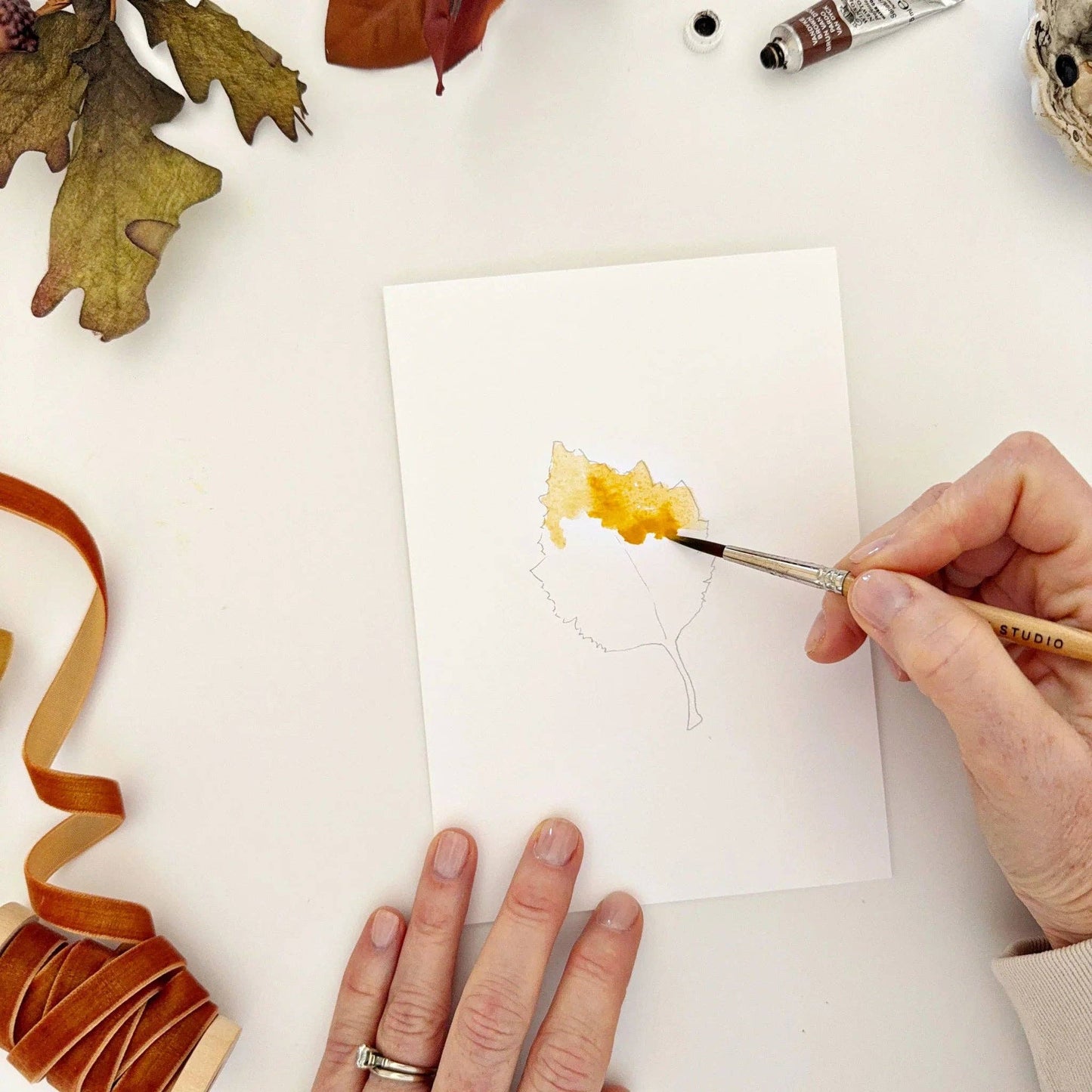 Close-up of watercolor-ready autumn leaf notecards featuring maple, maple stem, oak, and aspen botanical illustrations.