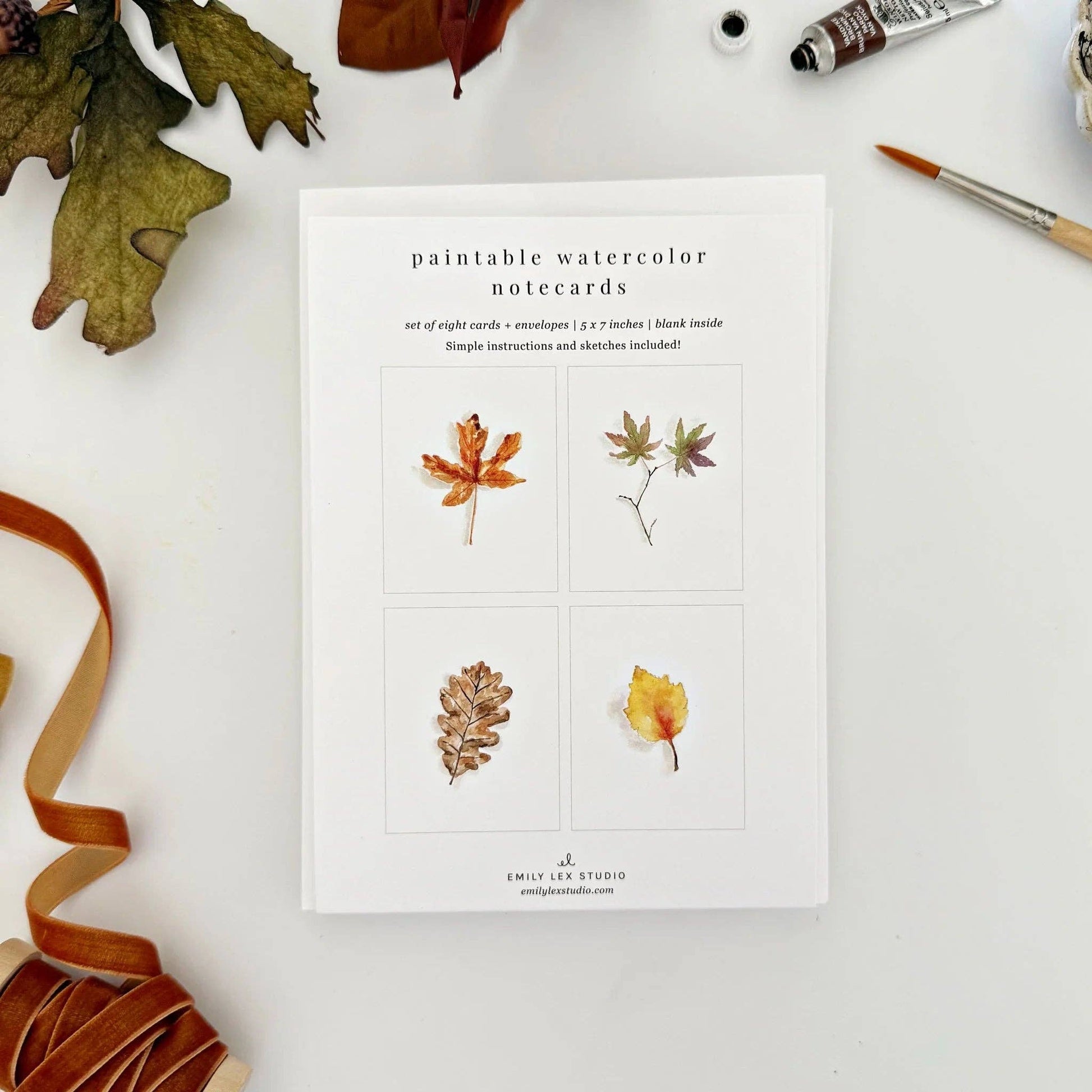 Fall Leaves Paintable Watercolor Notecard Set by Emily Lex featuring eight paint-your-own cards with maple, oak, and aspen leaf illustrations.