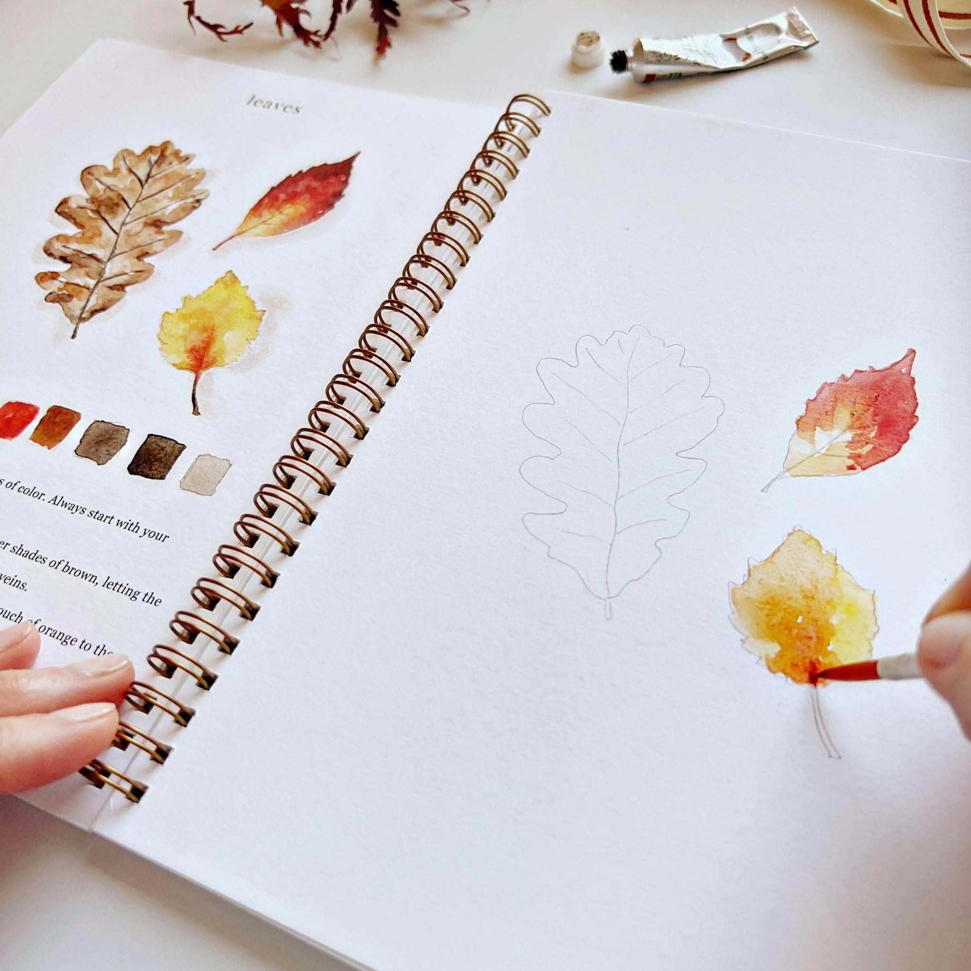 Autumn Watercolor Workbook by Emily Lex featuring twelve guided watercolor projects inspired by the beauty of fall.