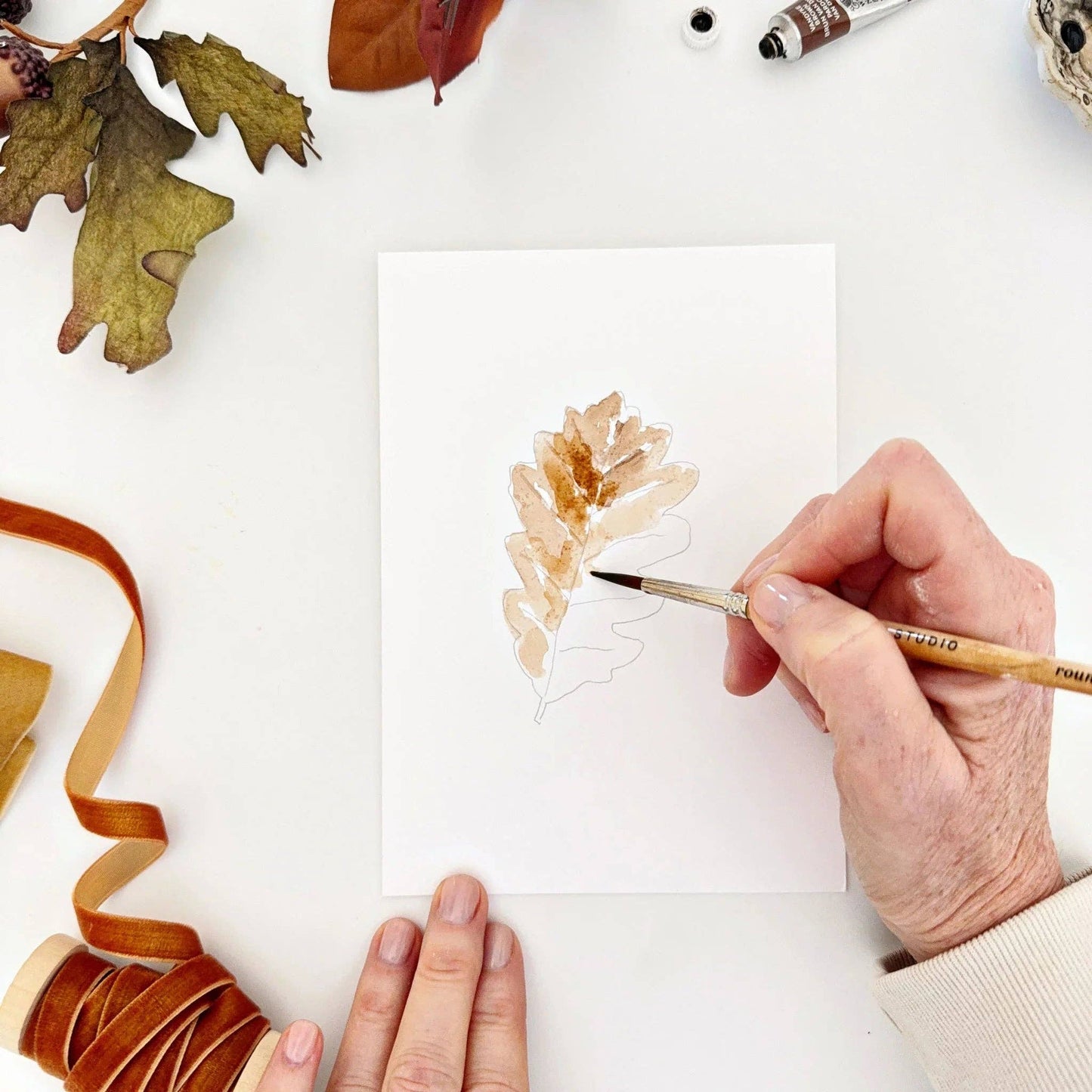 Close-up of watercolor-ready autumn leaf notecards featuring maple, maple stem, oak, and aspen botanical illustrations.