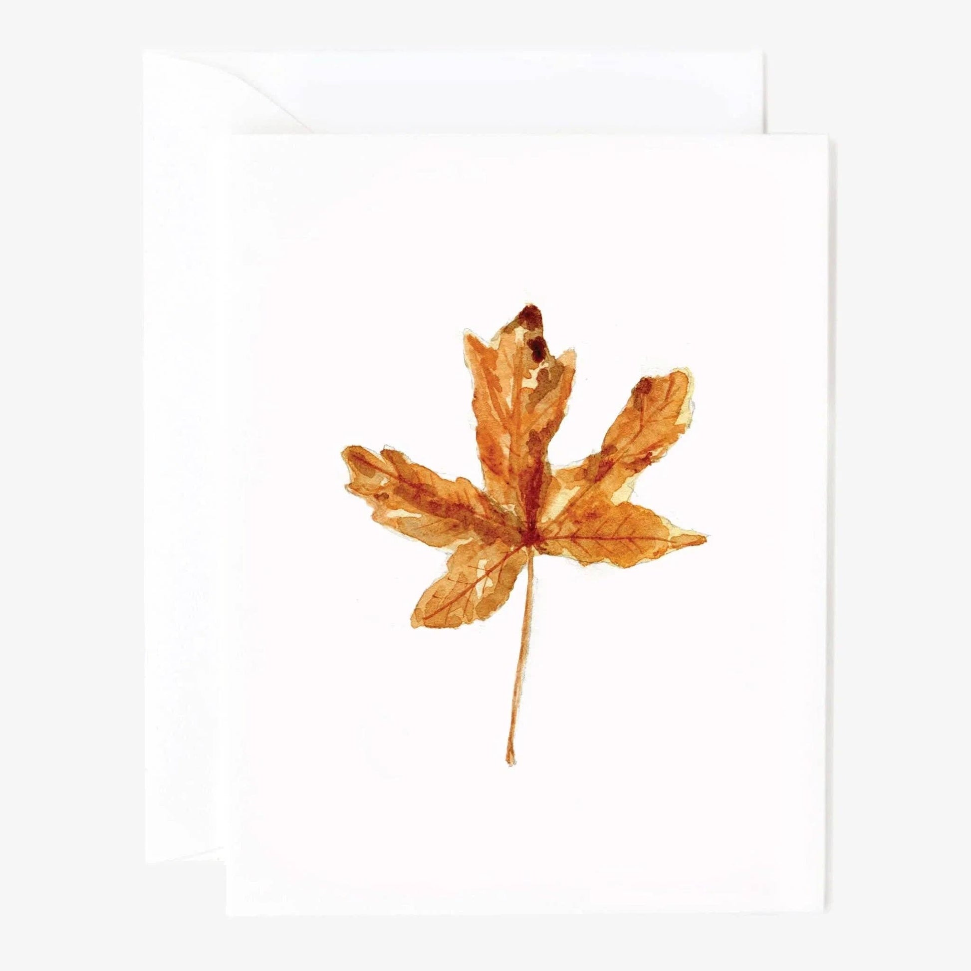 Assorted autumn watercolor notecards printed on premium 120 lb superfine paper with blank interiors for handwritten messages.