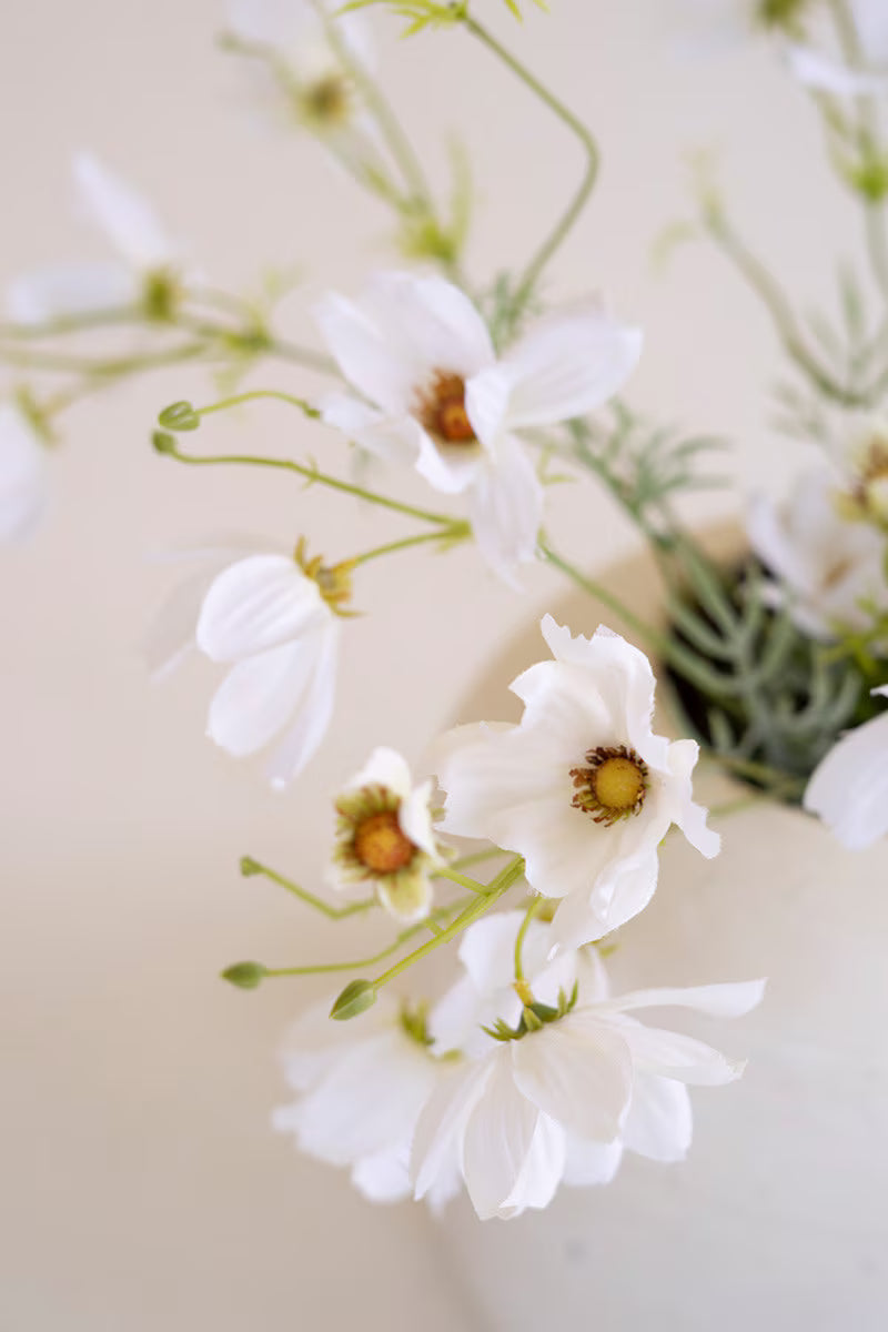 Close-up of realistic white cosmos flowers showcasing airy petals and lifelike botanical texture.