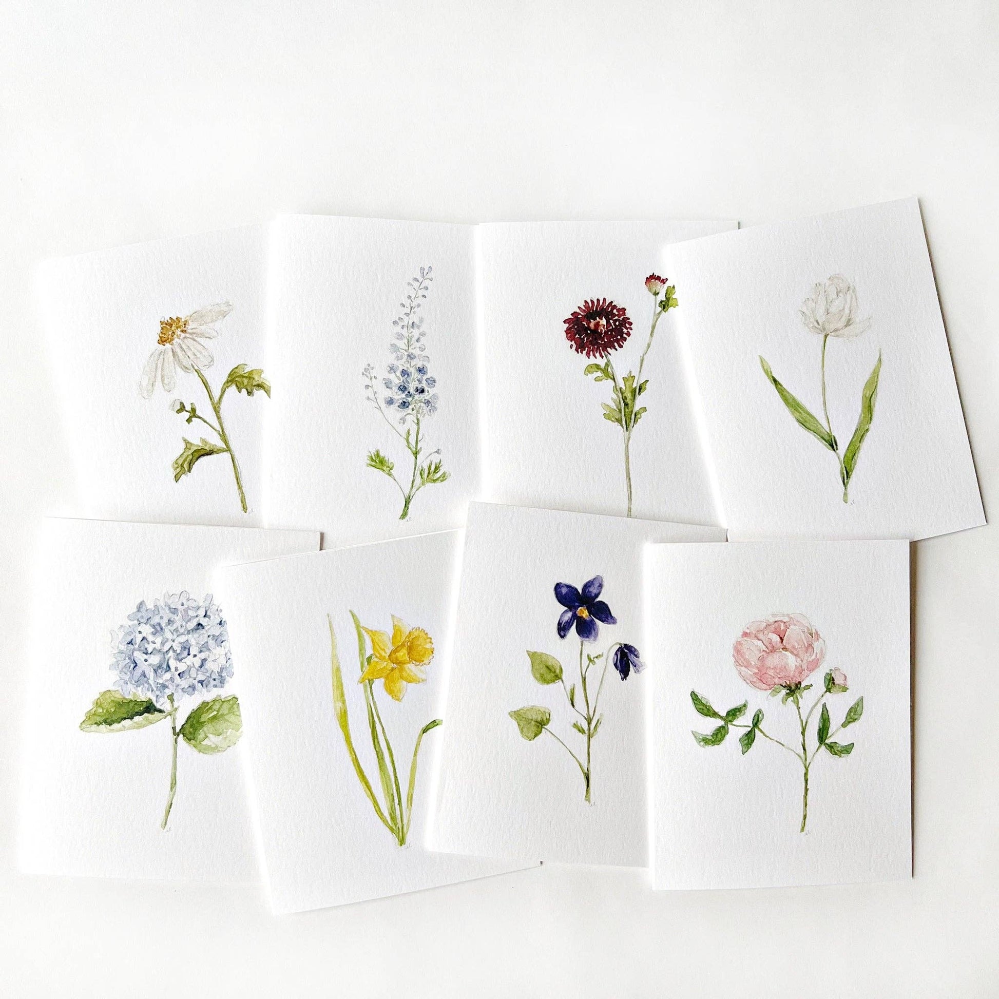 Garden flower watercolor greeting cards featuring a hydrangea, tulip, daisy, delphinium, garden rose, dahlia, daffodil, and violet printed on premium 120 lb superfine paper.
