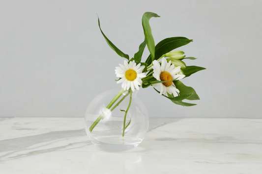 Clear glass vase with white flowers and green leaves on a light gray background