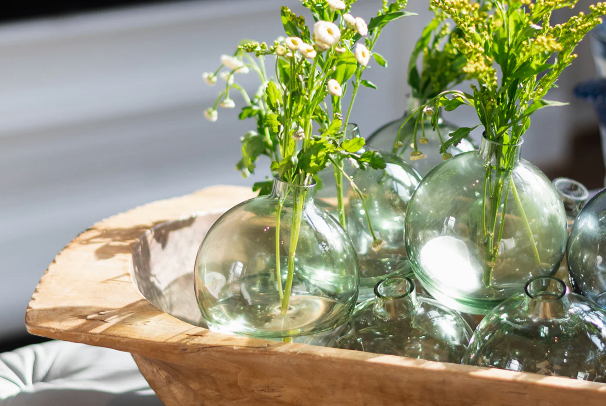 Colored glass vases with greenery on a wooden surface