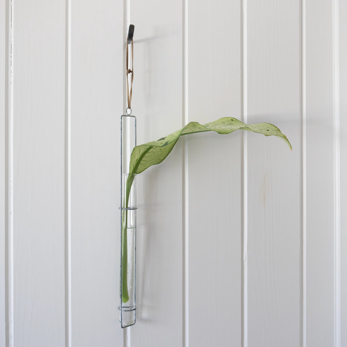 Set of three hanging glass tube vases with understated zinc-finished holders and suede hanging straps.