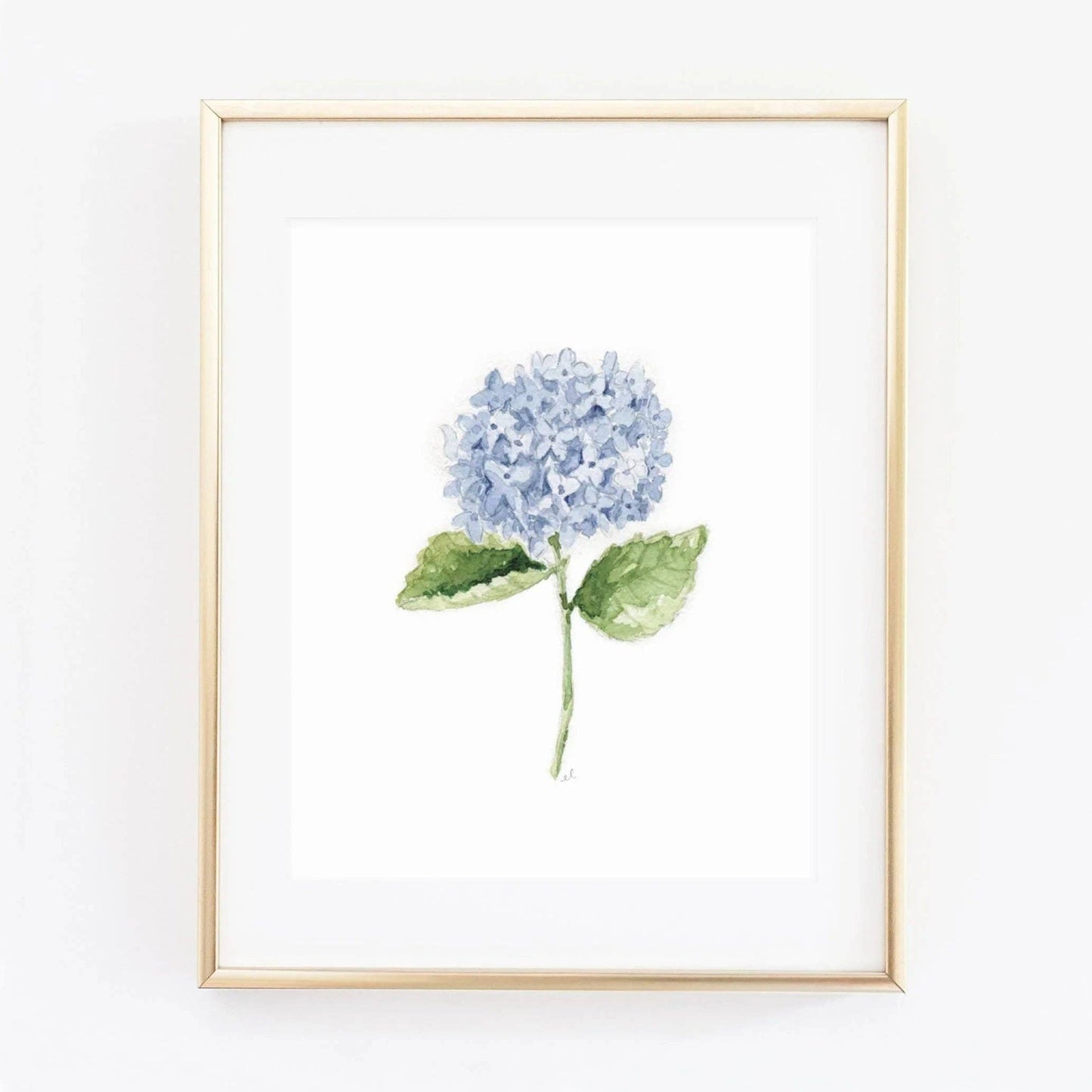 Hydrangea Stem Watercolor Art Print featuring original botanical artwork by Emily Lex.
