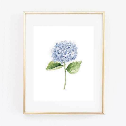 Hydrangea Stem Watercolor Art Print featuring original botanical artwork by Emily Lex.