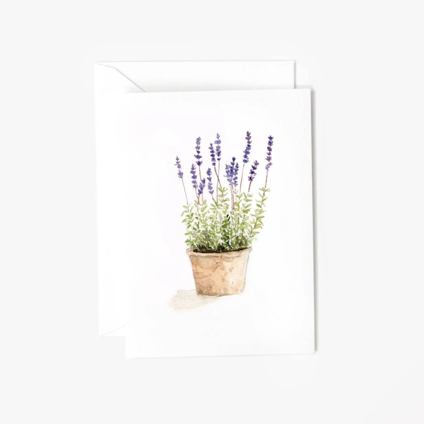 Lavender Mini Enclosure Card by Emily Lex featuring an original watercolor illustration of delicate lavender stems.