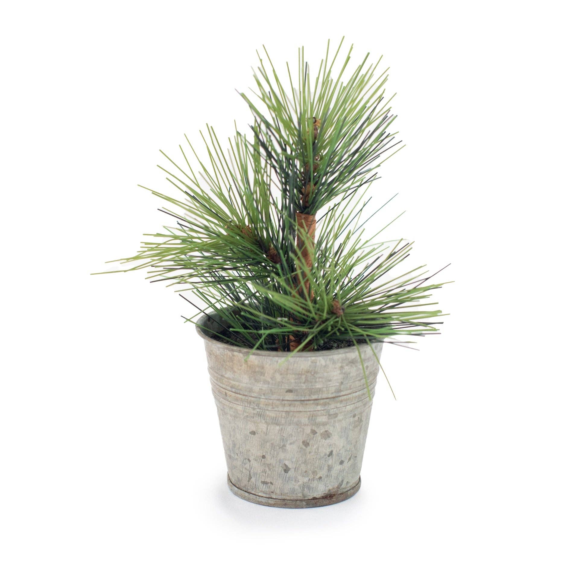 Mini Pine Tree in a galvanized tin pot featuring realistic evergreen branches and rustic holiday styling.