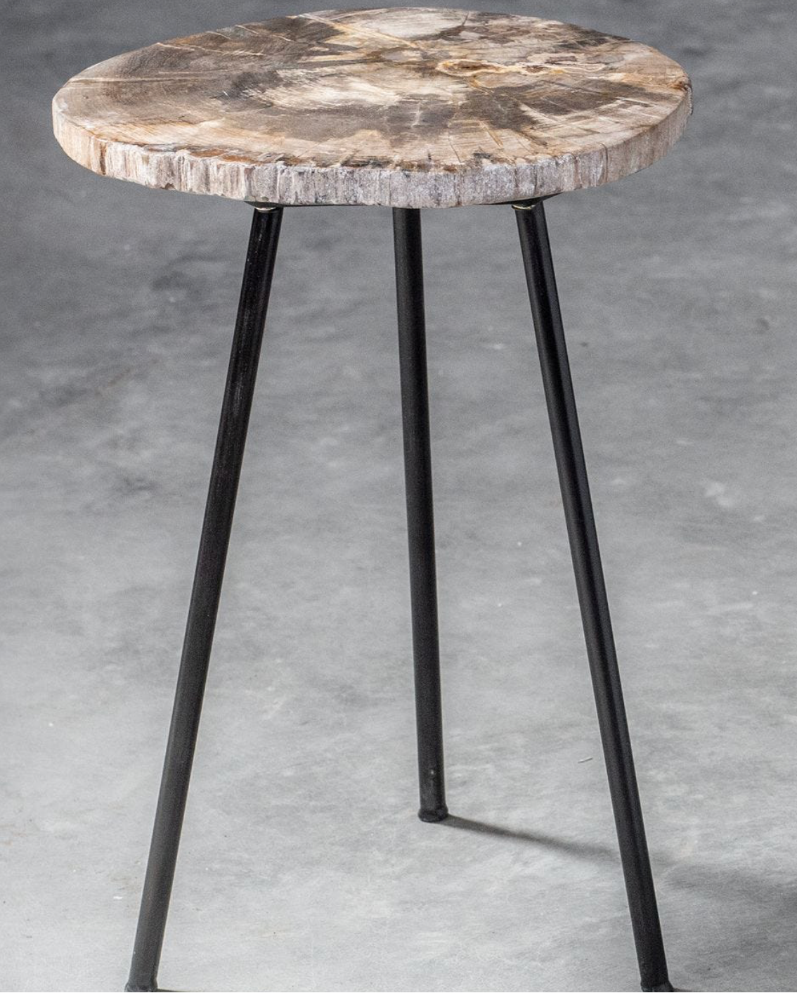 Side profile of the Mircea Accent Table showing the natural petrified wood top and aged black iron legs.