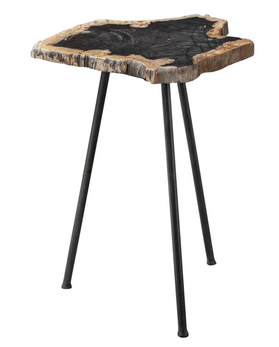 Mircea Accent Table featuring a natural petrified wood tabletop and slender aged black iron legs.