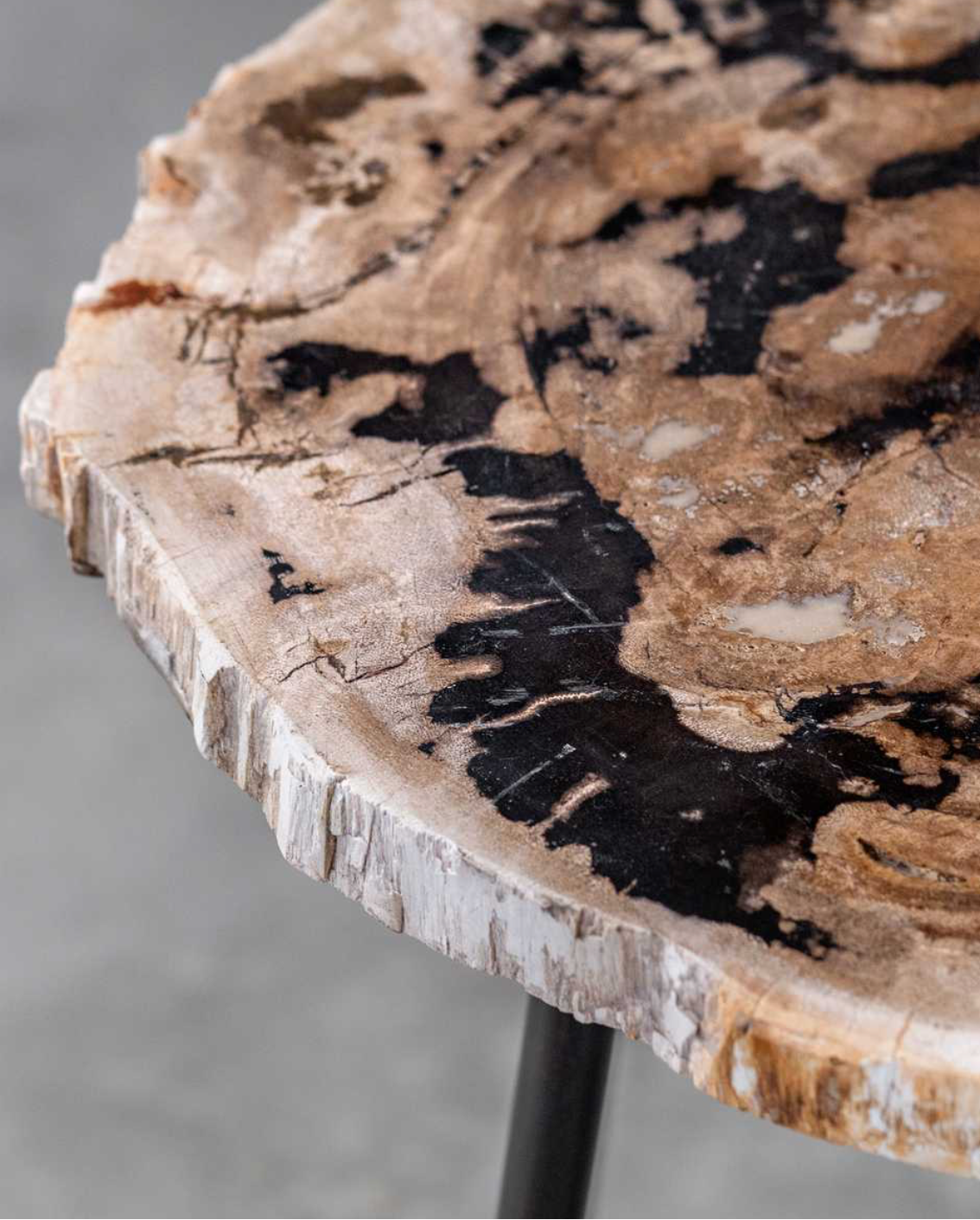 Close-up of distinctive natural grain patterns and tonal variations in the Mircea petrified wood tabletop.