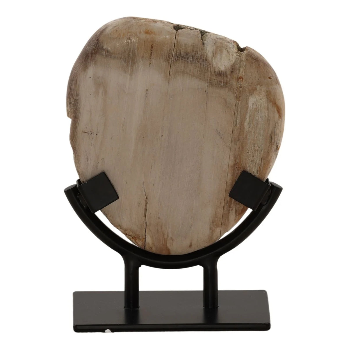 Natural petrified wood sculpture displayed on a simple black iron stand.