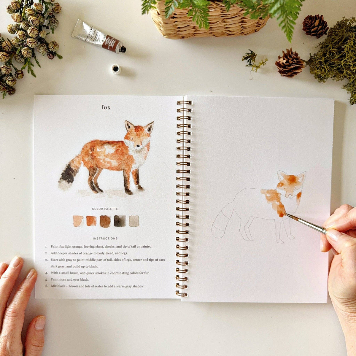 Open watercolor workbook displaying woodland illustrations ready to paint with step-by-step guidance.