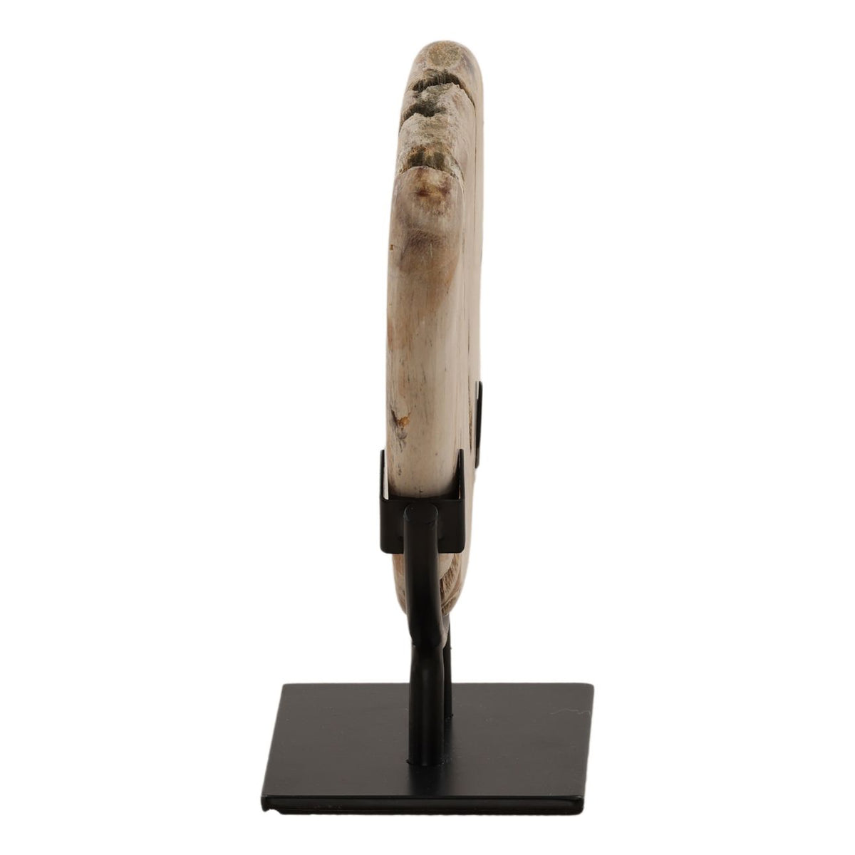 One-of-a-kind Petrified Wood Sculpture on Stand with an organic light natural form and black iron base.