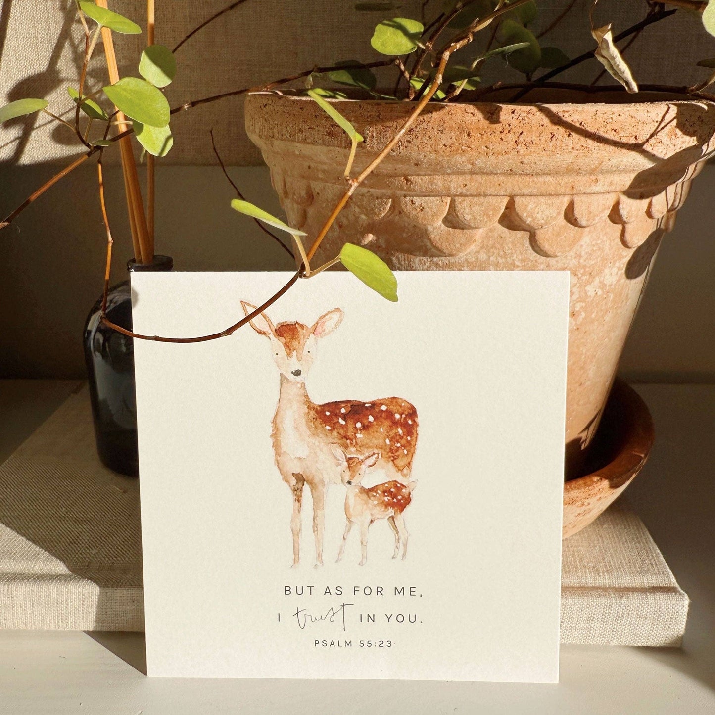 Truth for Today: Psalms Scripture Card Set by Emily Lex featuring 31 watercolor-illustrated Psalms printed on premium cotton eggshell textured paper.