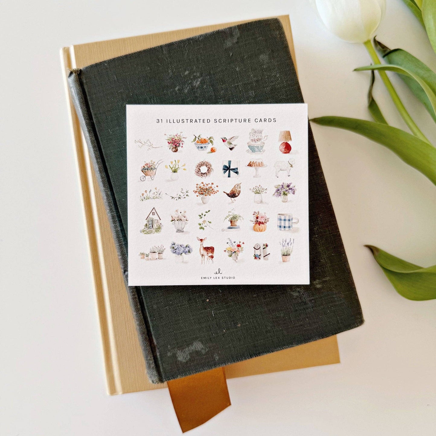Truth for Today: Psalms Scripture Card Set by Emily Lex featuring 31 watercolor-illustrated Psalms printed on premium cotton eggshell textured paper.