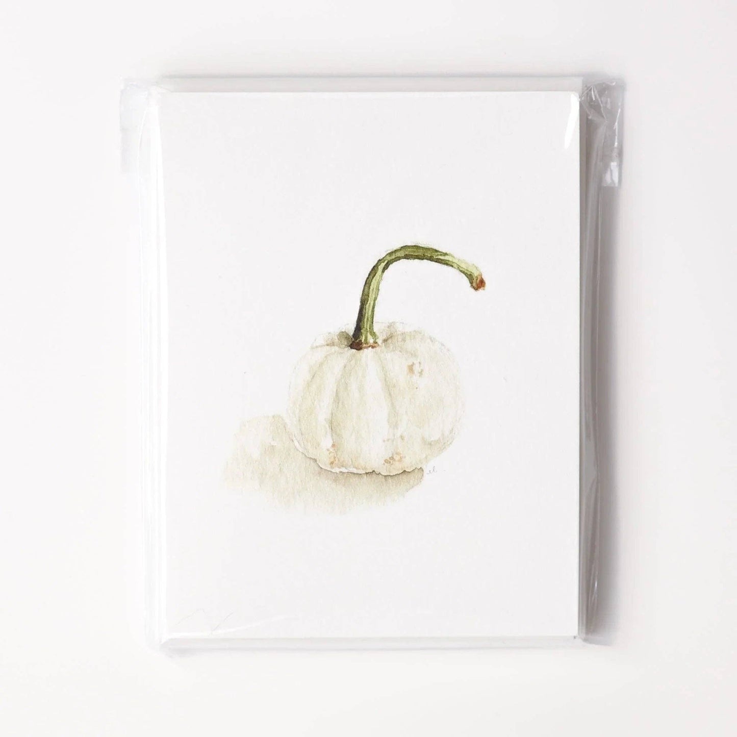 Assorted autumn watercolor notecards printed on premium 120 lb superfine paper with blank interiors for handwritten messages.
