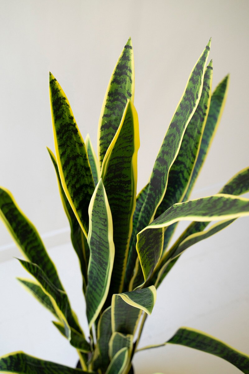 Realistic faux snake plant foliage with natural variegated coloring.