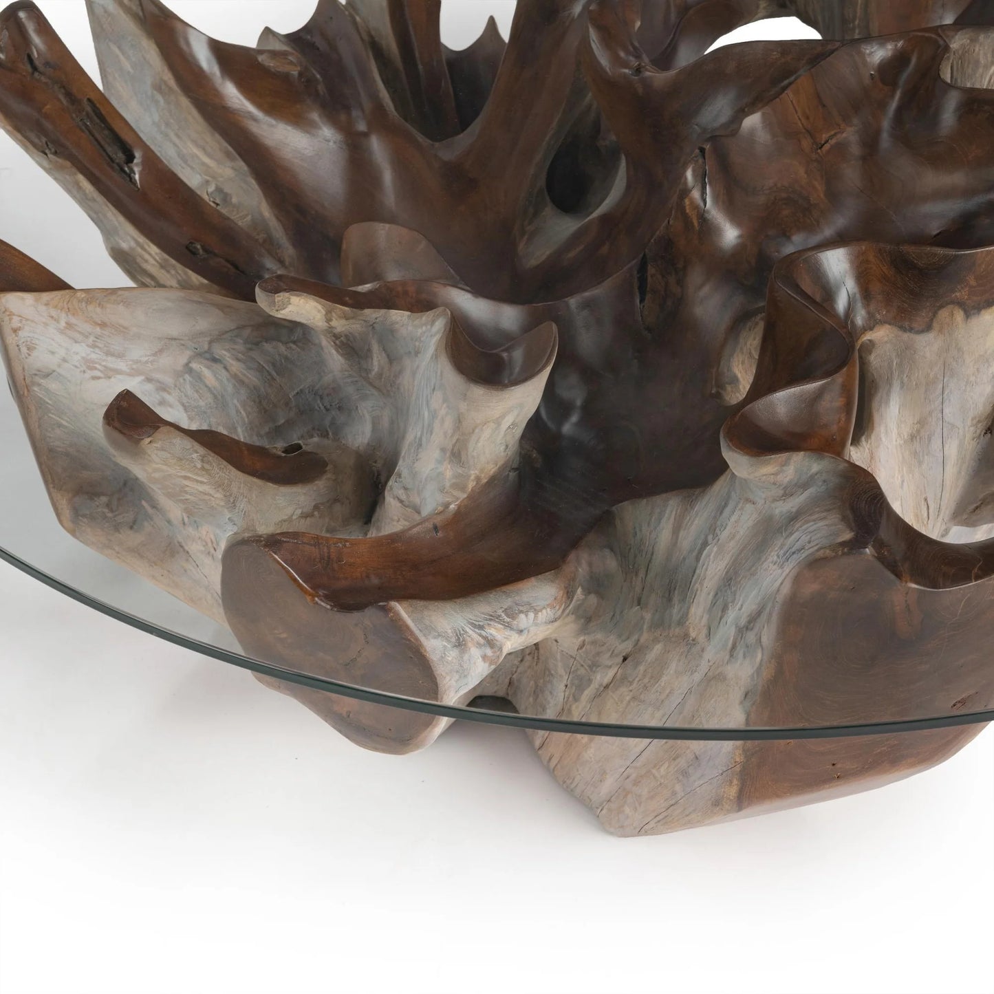 Close-up of the Hailey coffee table showcasing the intricate reclaimed teak root grain, natural textures, and tempered glass surface.