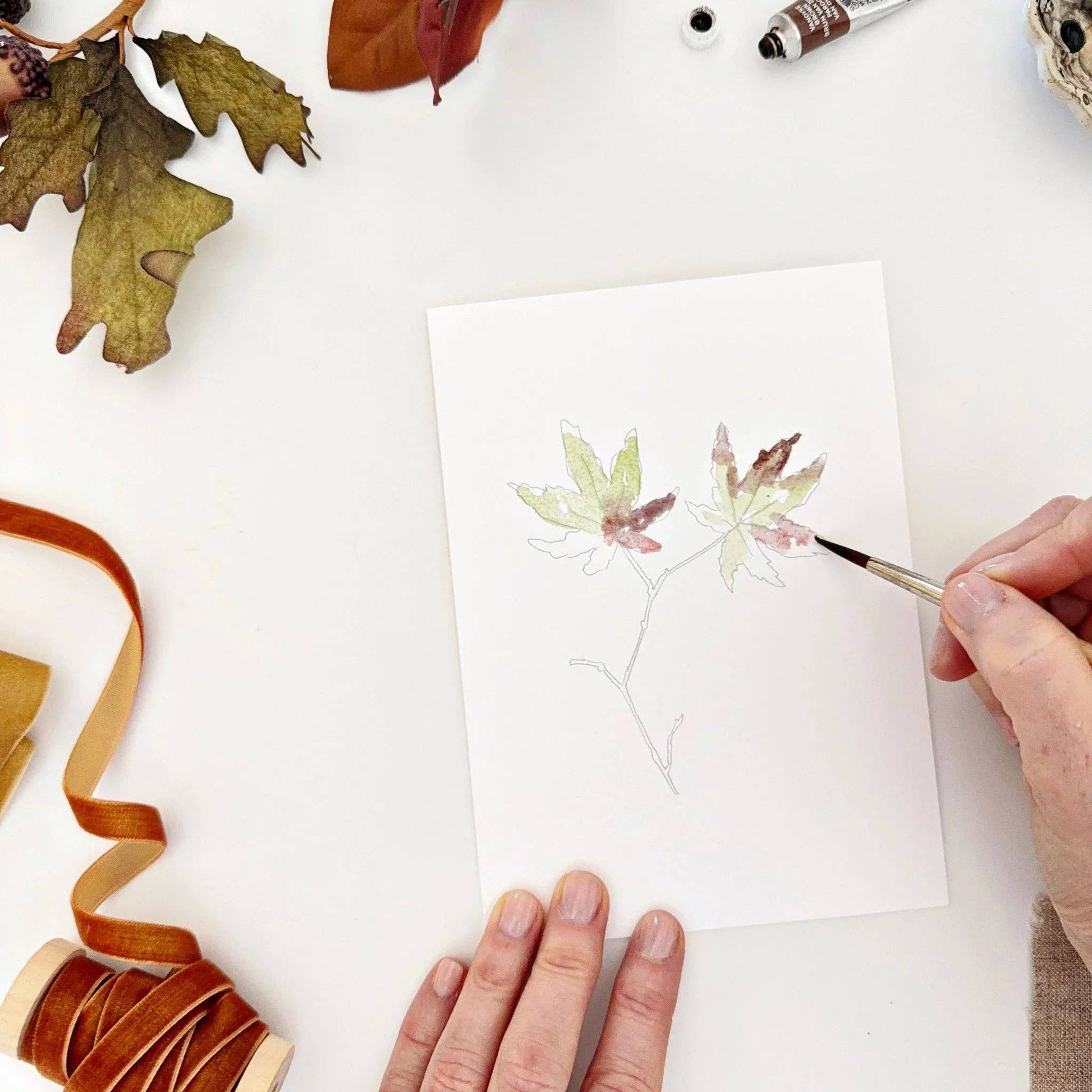 Close-up of watercolor-ready autumn leaf notecards featuring maple, maple stem, oak, and aspen botanical illustrations.
